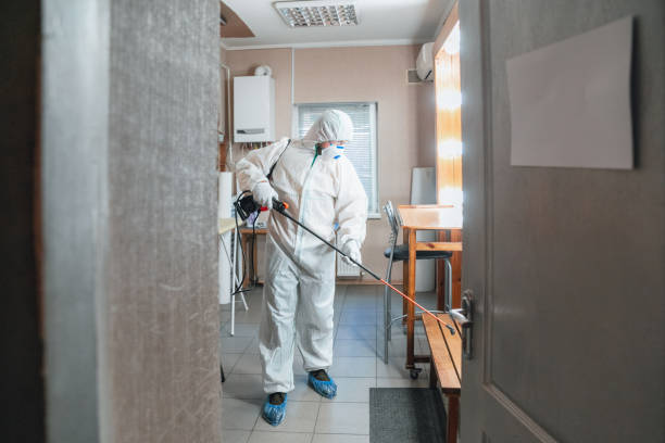 Mold Remediation for Vacation Homes in New Baltimore, VA